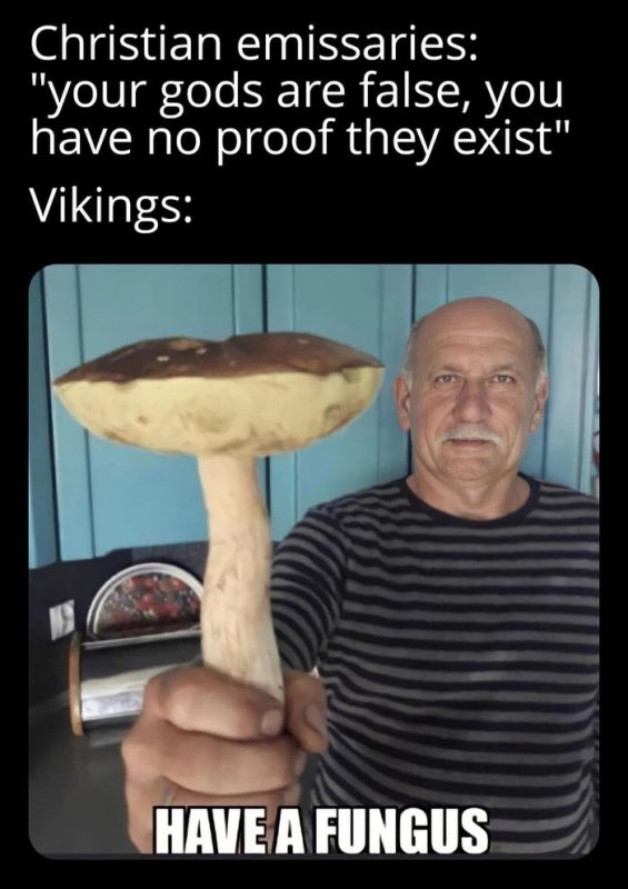 Мемы про грибы