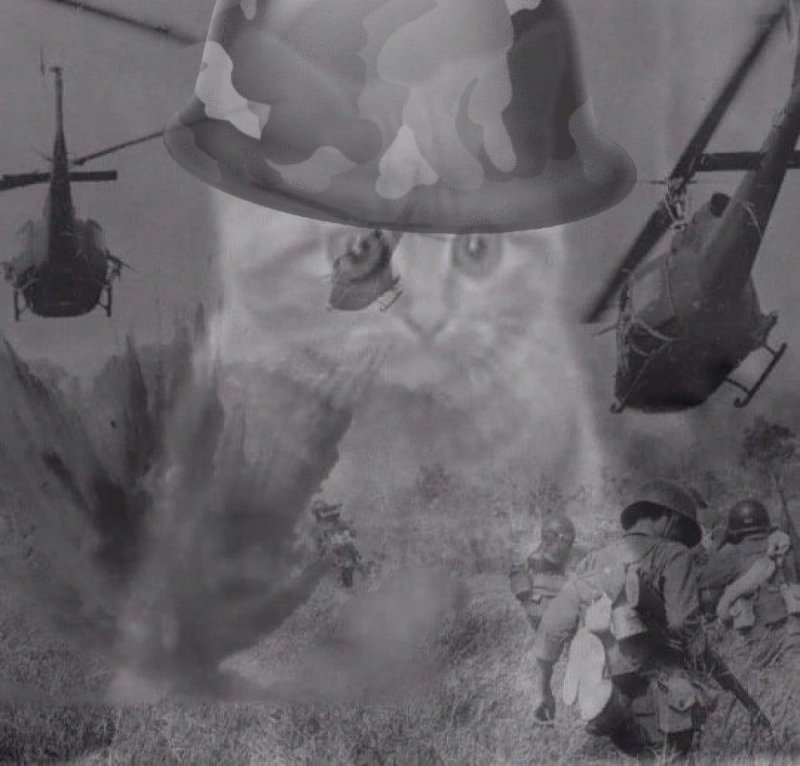 Флешбеки Вьетнам Мем