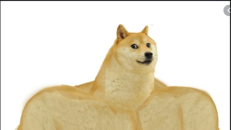 Мем с собаками сильная и слабая