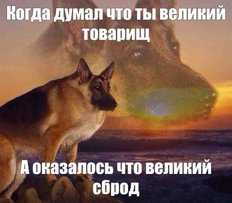 Мем Максим иди на