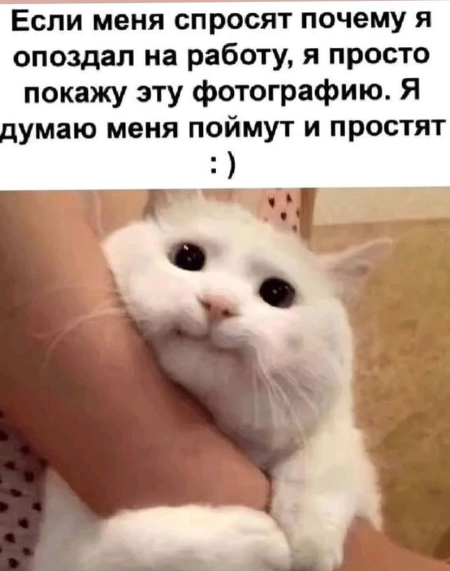 Я опоздаю