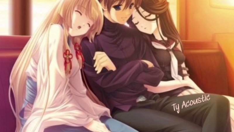 Две девочки и один мальчик аниме