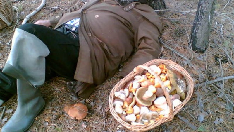 Заядлый грибник