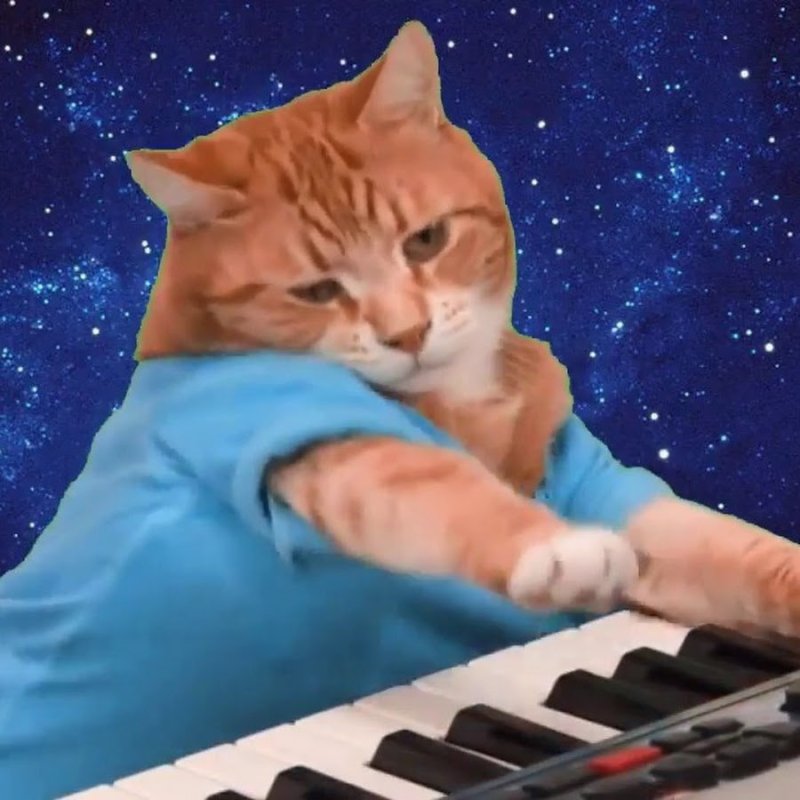 Кот на пианино