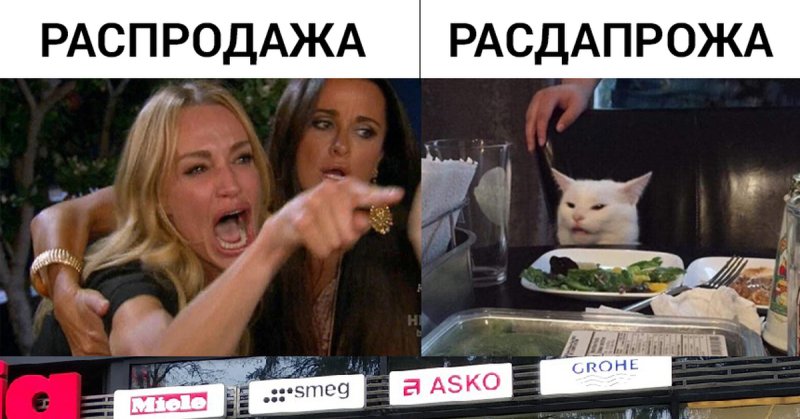 Девушка кричит на кота