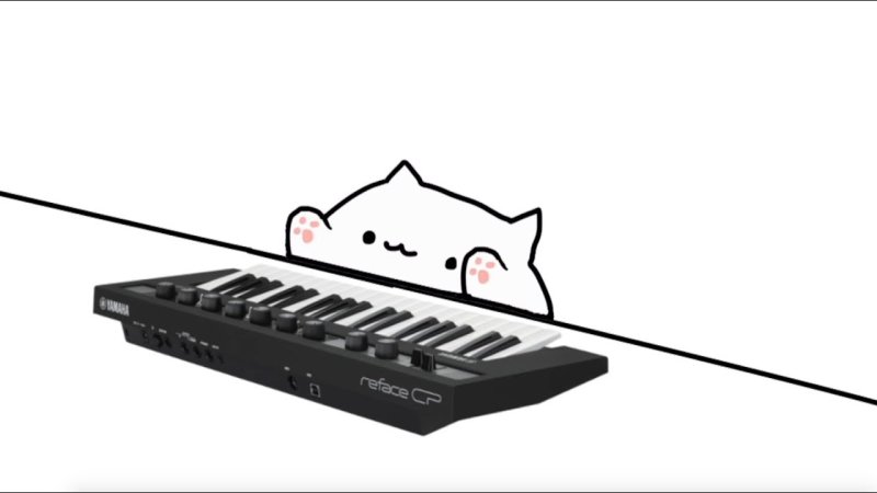 Бонго Кэт пианино