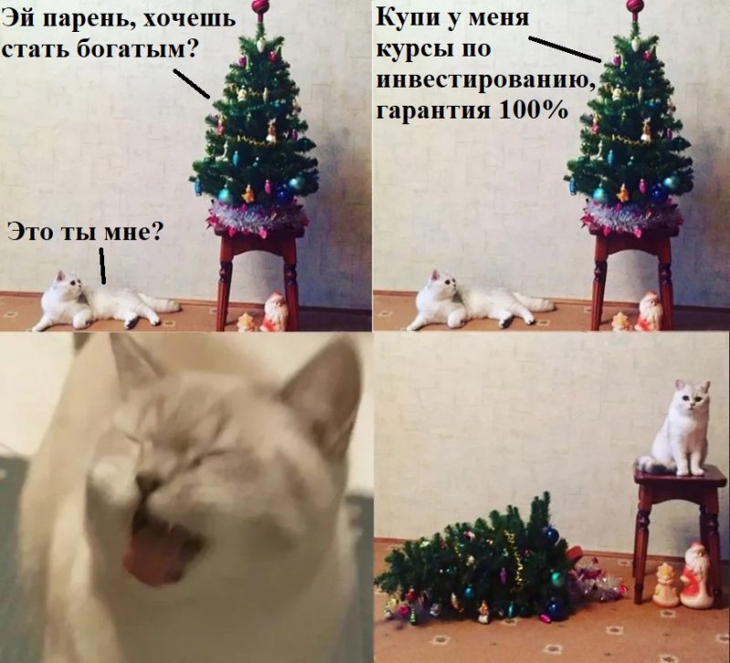 Мемы с котами и елками