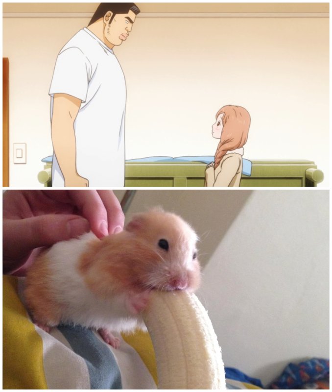 Хомяк и большой банан