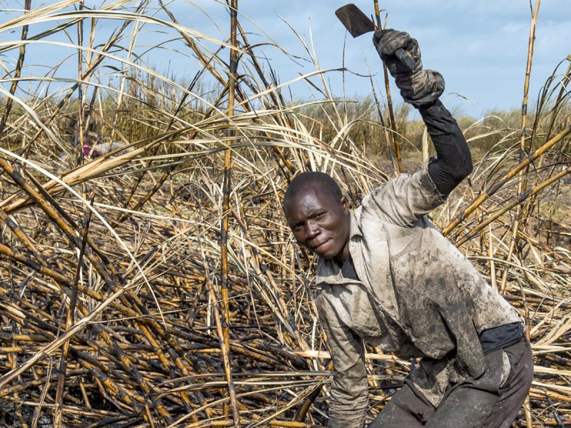 Афроамериканцы на плантациях