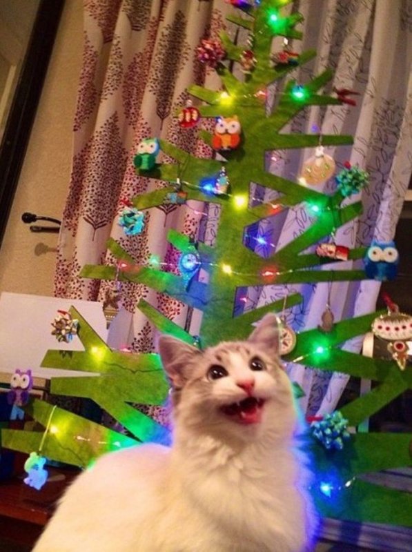 Кот в мишуре