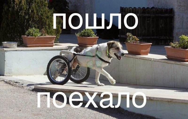 Пошло поехало