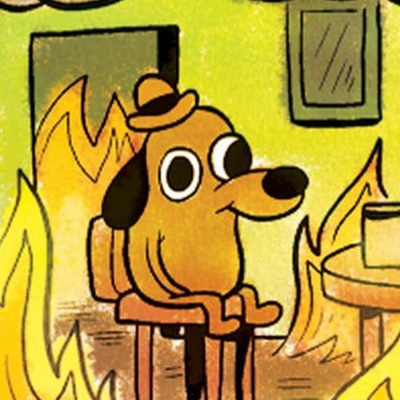 Мем собака в горящем доме