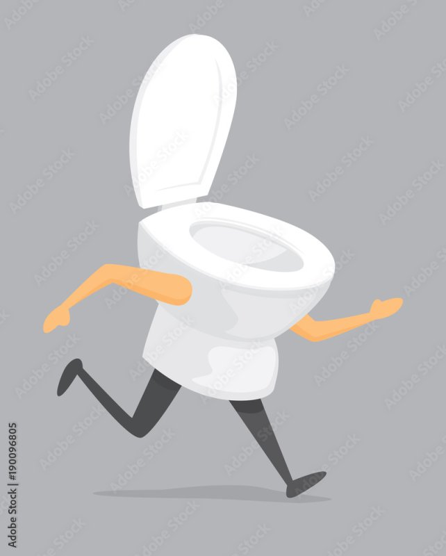 Туалет убегает