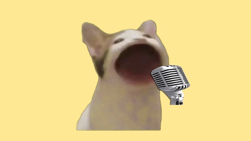 Кот открывает рот Мем