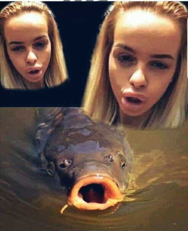 Девушка с рыбой Мем