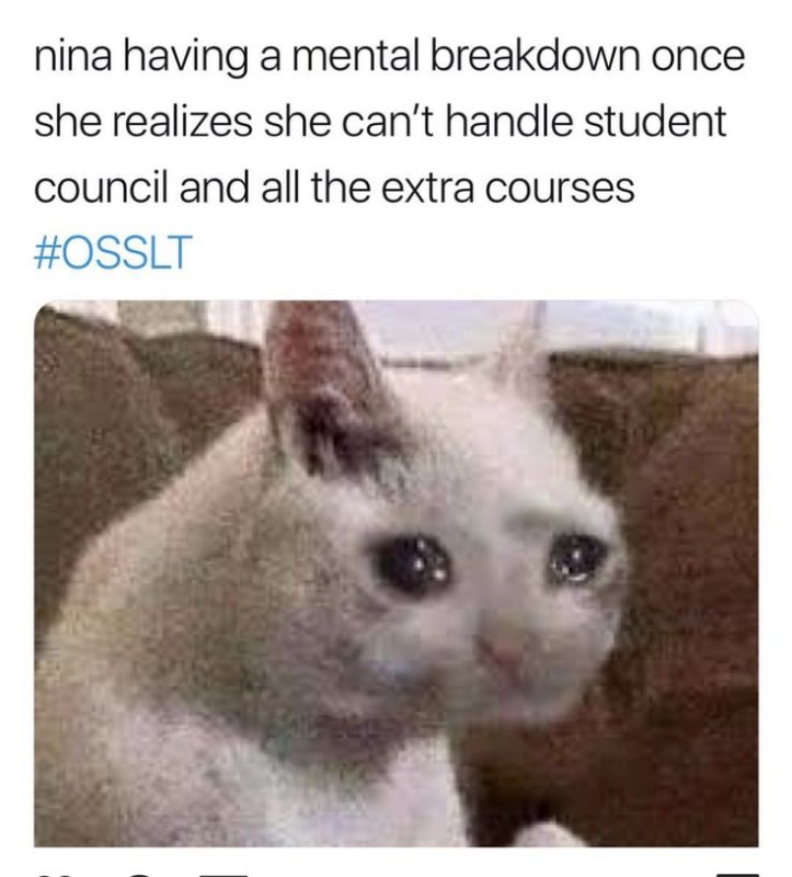 Кот плачет Мем