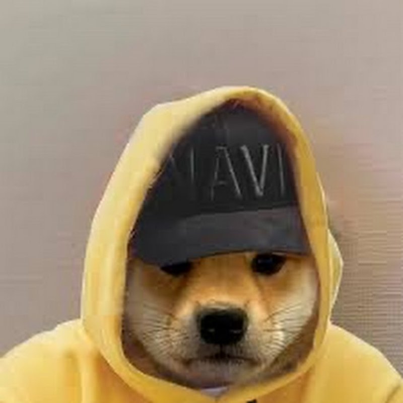 Ава песика в шапке