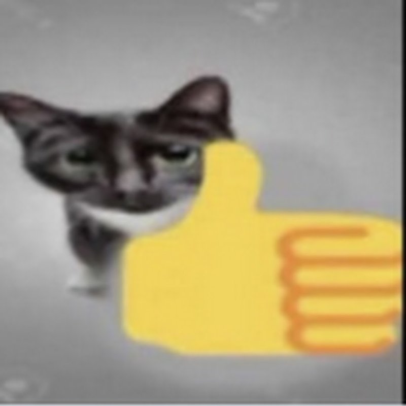 Cat thumbs up meme