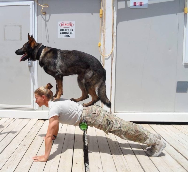 Смешной кинолог