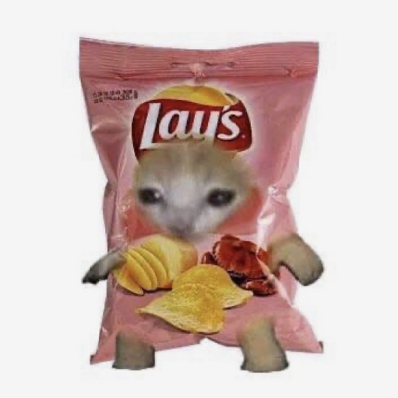 Котики в фруктах