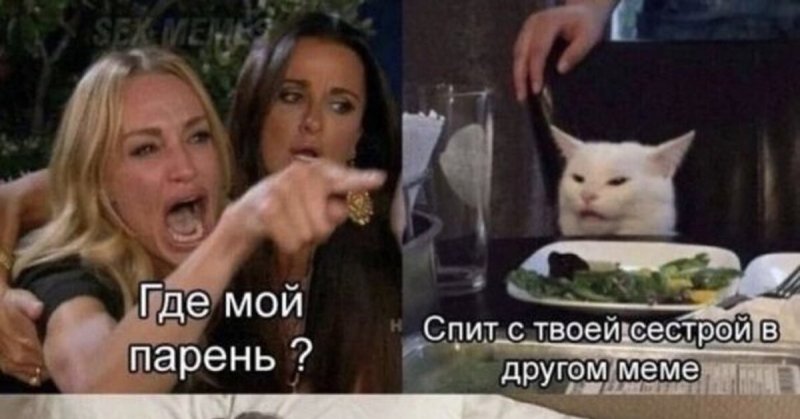 Мем с котом и девушками за столом