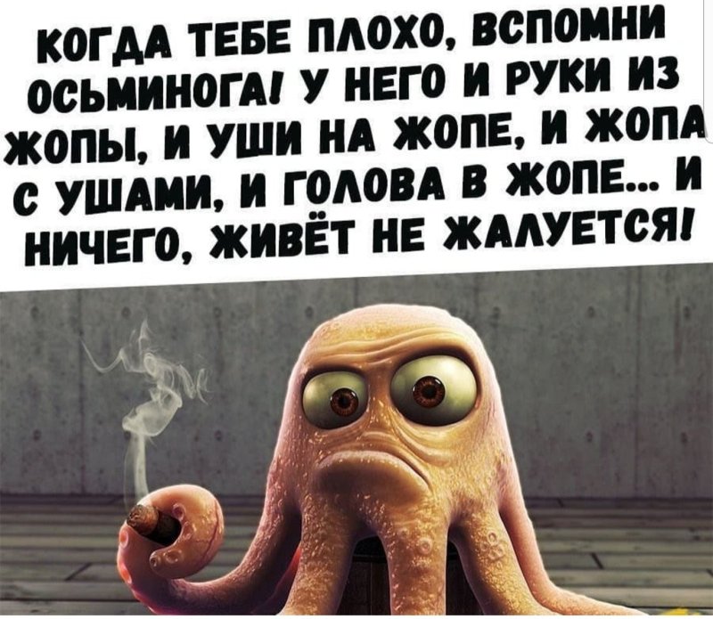 Мемы с осьминогами