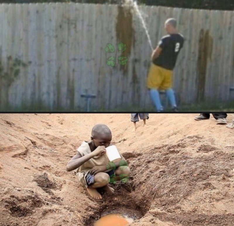 Негры в поле