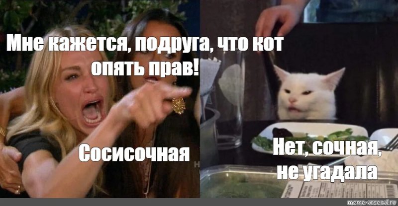 Кот из мема с девушками