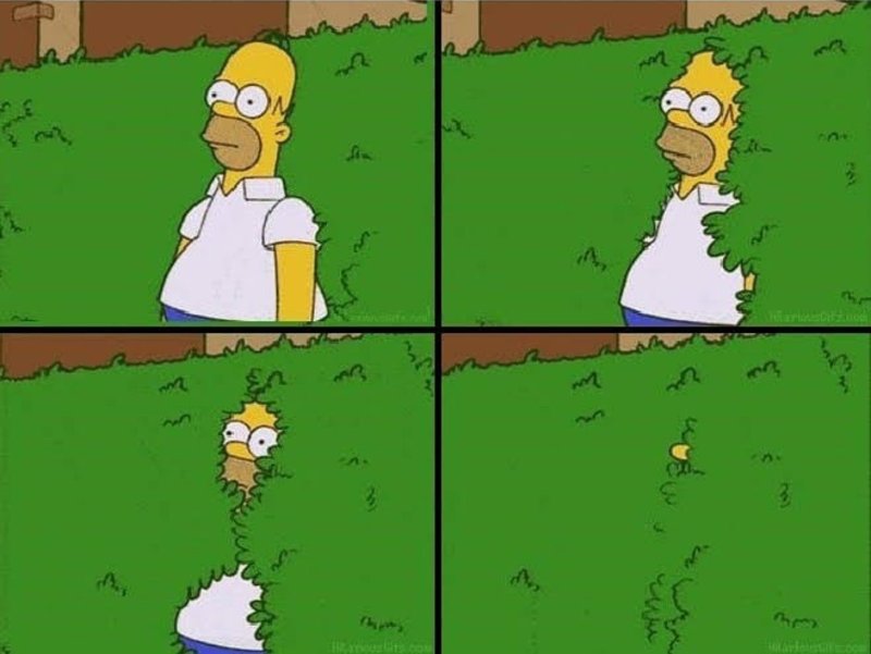 Гомер симпсон прячется в кусты