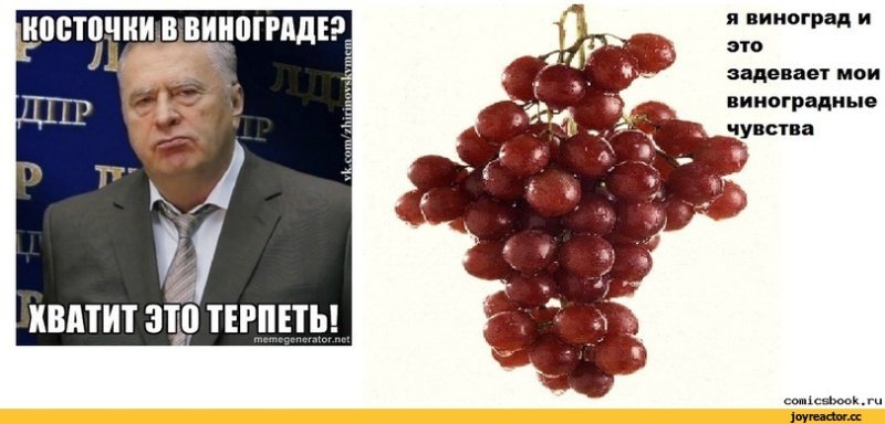 Юмор про виноградарей