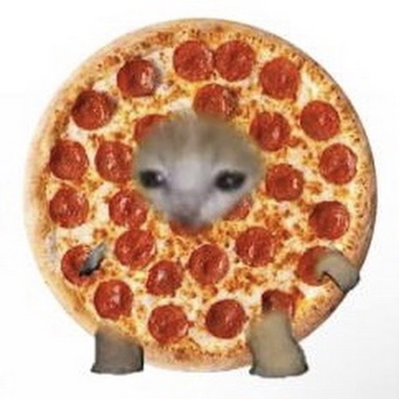 Котики в фруктах