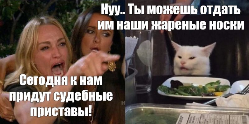 Девушки орут на кота