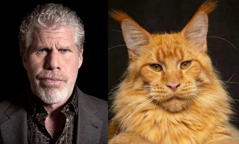 Рон Перлман и Мейн