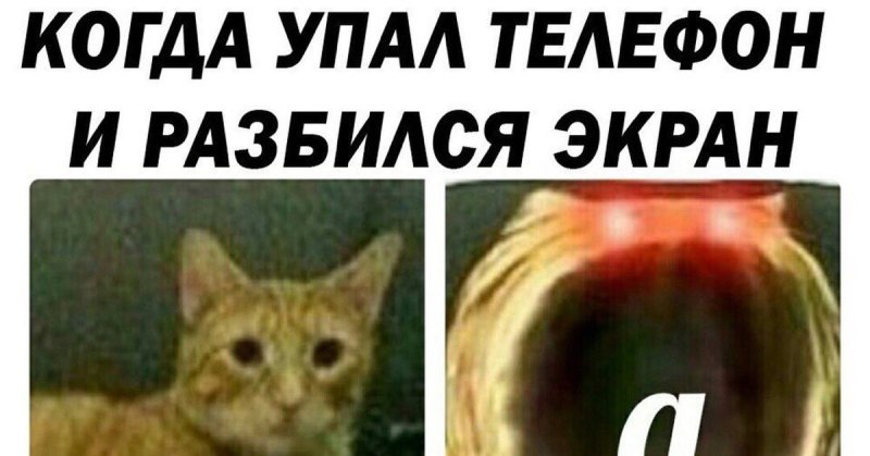 Глубокий вдох а кот