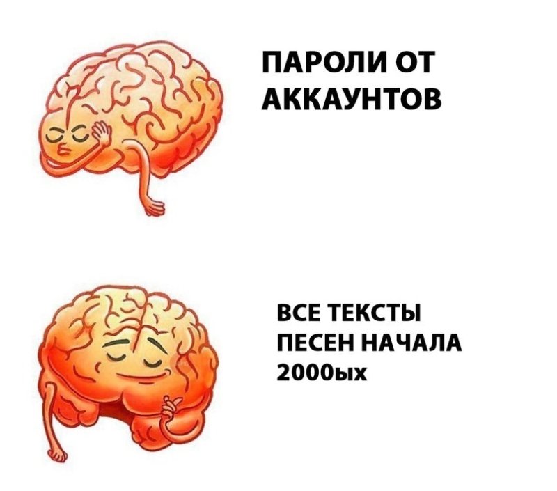 Шутки про мозги