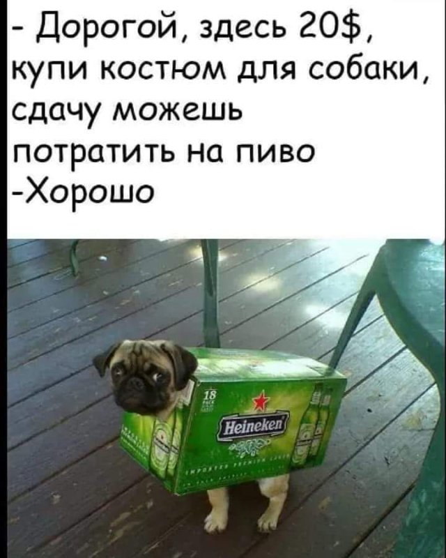 Приколы мемы про пиво