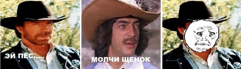 Че молчишь пёс