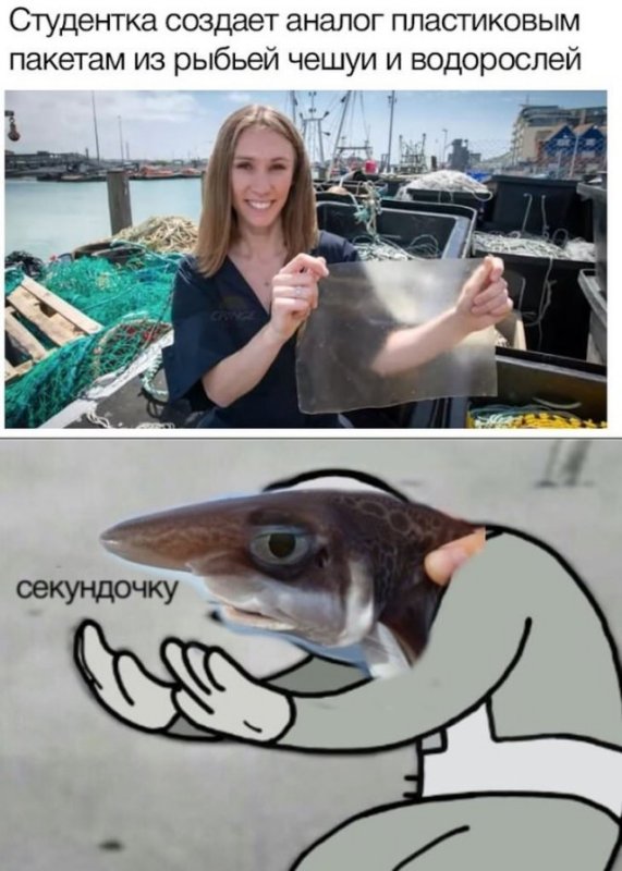 Мемы с рыбами