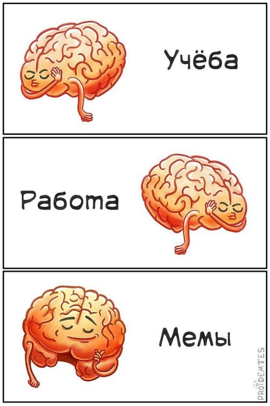 Мемы про мозг
