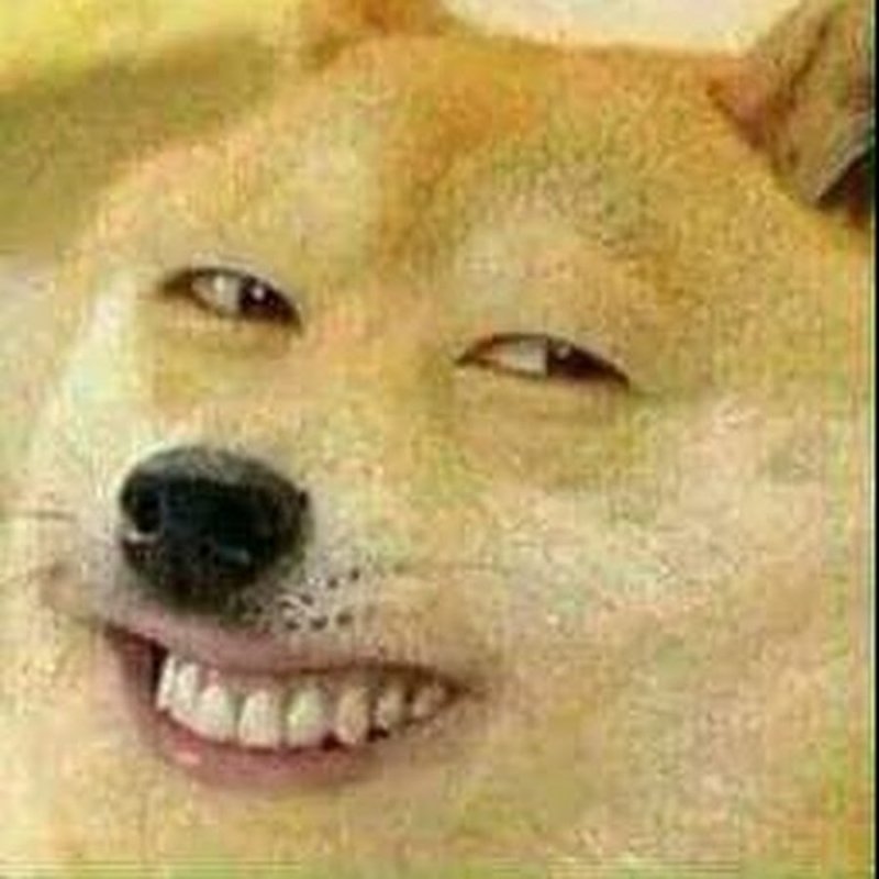 Собака улыбается Мем