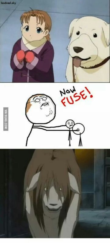 Стальной алхимик про собаку