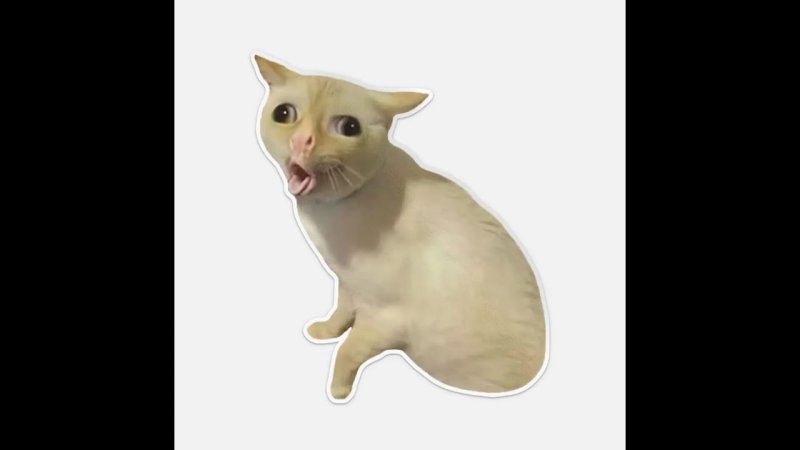 Котик кашляет