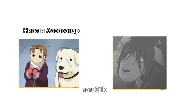 Нина и Александр стальной алхимик