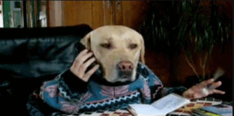 Собака говорит по телефону