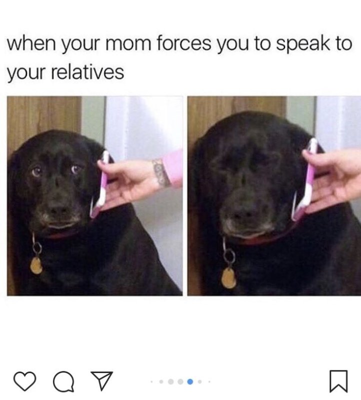 Мем про собеседование с собакой