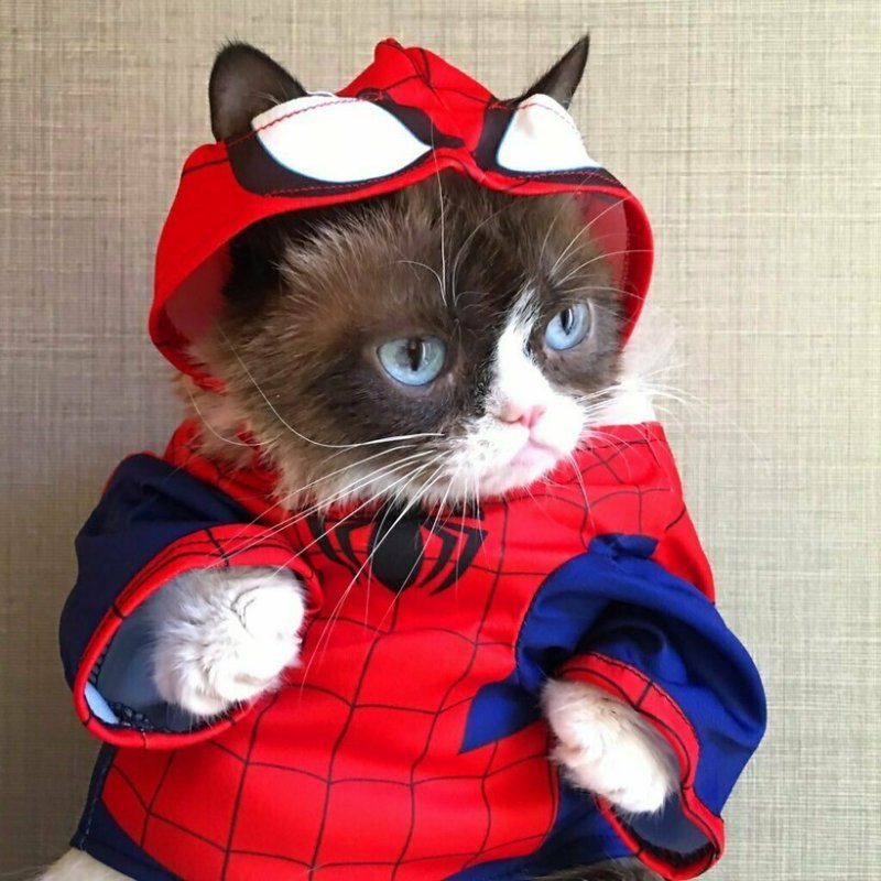 Костюм кошки