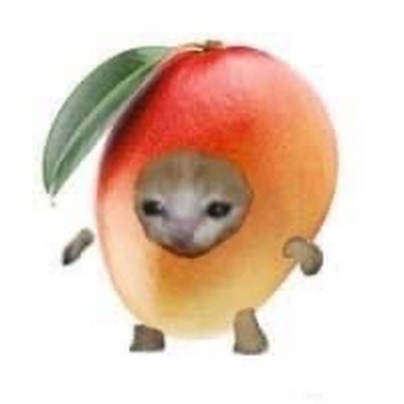 Кот фрукт Мем