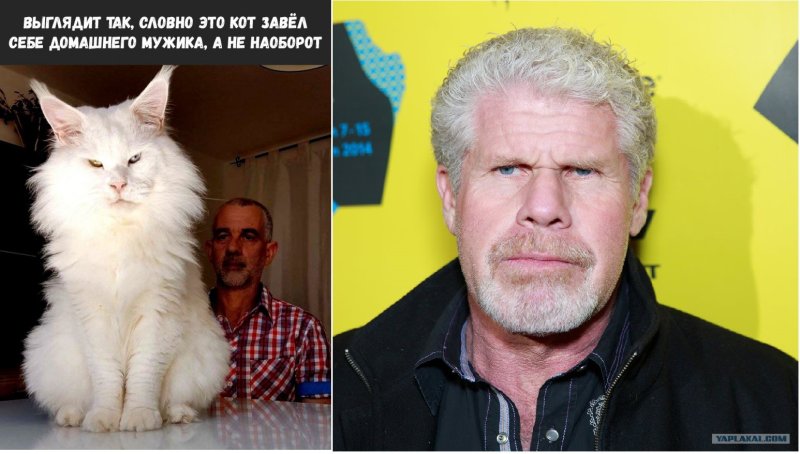 Рон Перлман