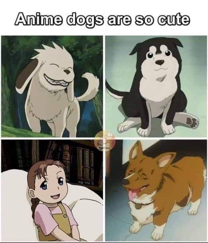 Baki anime Dog meme