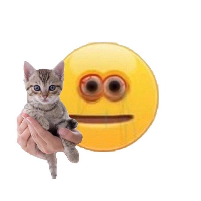 Смайлик котик